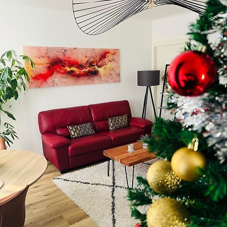 Appartement Cosy Et Lumineux Avec Parking Gratuit Кольмар Екстер'єр фото