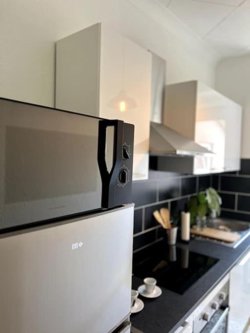 Appartement Cosy Et Lumineux Avec Parking Gratuit Кольмар Екстер'єр фото
