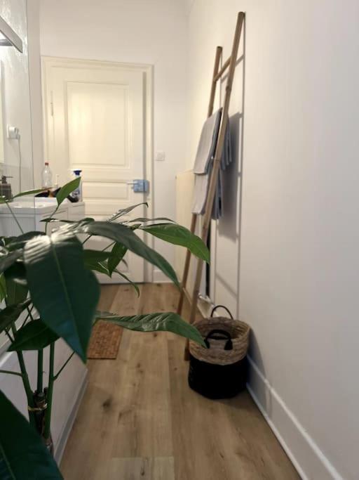 Appartement Cosy Et Lumineux Avec Parking Gratuit Кольмар Екстер'єр фото