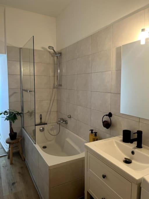 Appartement Cosy Et Lumineux Avec Parking Gratuit Кольмар Екстер'єр фото