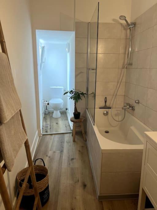Appartement Cosy Et Lumineux Avec Parking Gratuit Кольмар Екстер'єр фото