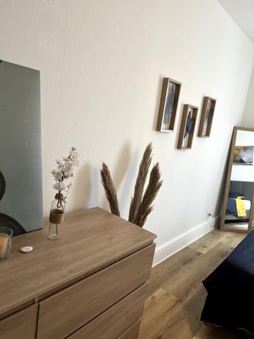 Appartement Cosy Et Lumineux Avec Parking Gratuit Кольмар Екстер'єр фото